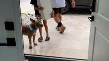 Kiki tiene una torre de cajas 📦😂