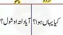 Learn Pashto into Urdu language | lesson # 77
