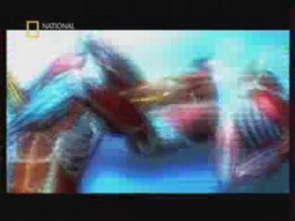 F.FIGHT  PART 3