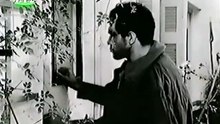 Ο γυρισμός του στρατιώτη (1966)
