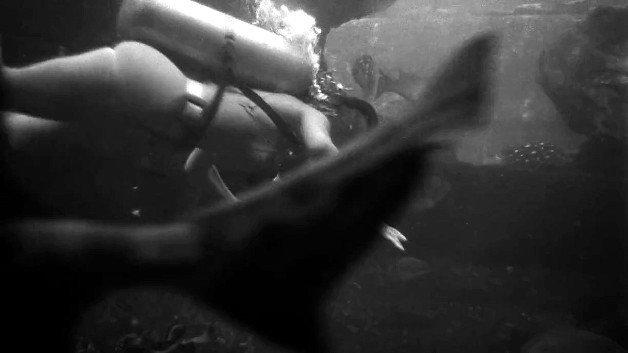 Movie So bad its good- 'Attack Of The Crab Monsters' (1957) 720p watch full movie