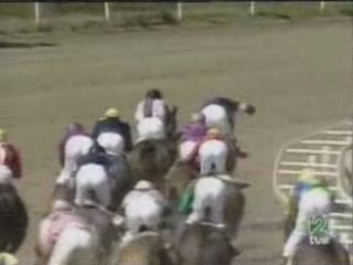 2006.02.26, nº 68 MJ (VI Mijas'Cup, A) Mushajer