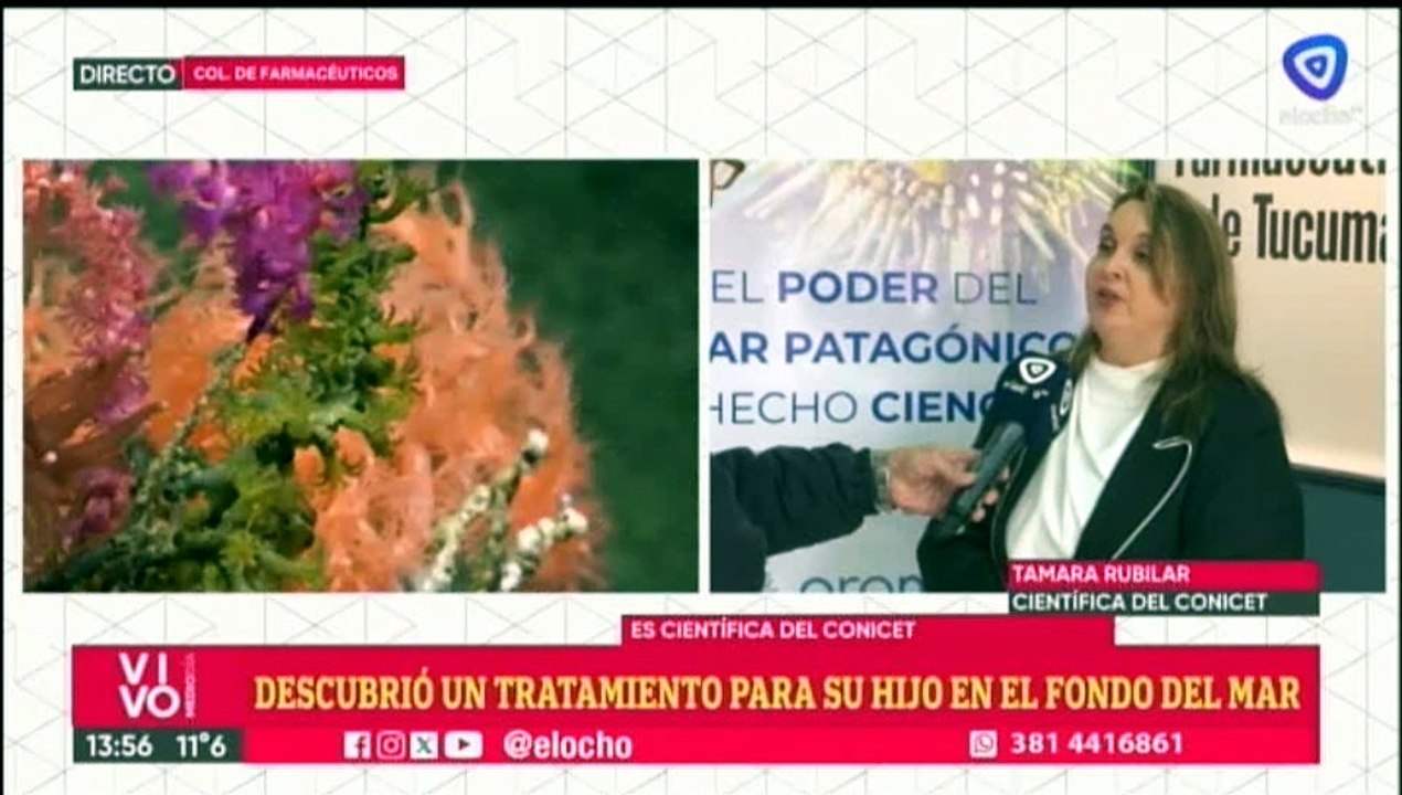 Móvil en Vivo Mediodía 14-08-26