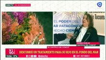 Móvil en Vivo Mediodía 14-08-26