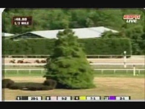 Delaware Handicap Gr2 130708 Hystericalady