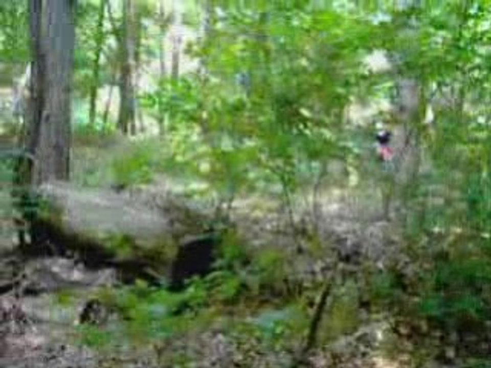 VTT au Plateau juillet