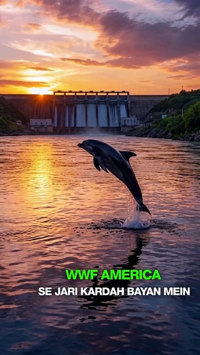 WWF-USA Honors CM Maryam Nawaz for Protecting R...