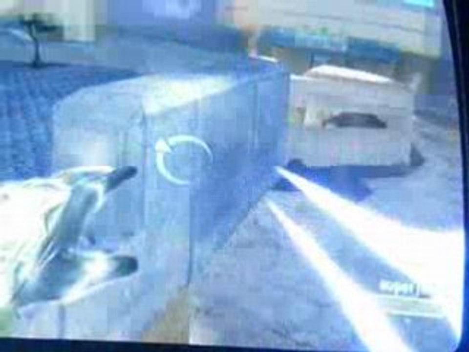 halo team shadow