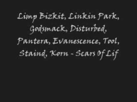 Limp Bizkit Linkin Park Godsmack Disturbed Pantera Evanensce