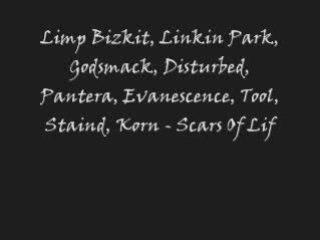 Limp Bizkit Linkin Park Godsmack Disturbed Pantera Evanensce