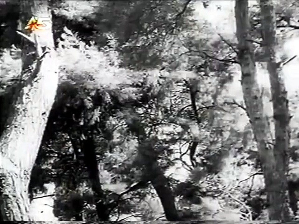 Το λάθος (1965)