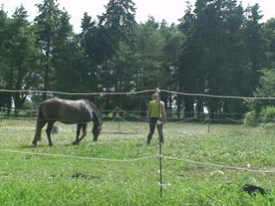 Qu'enzo éthologie 5