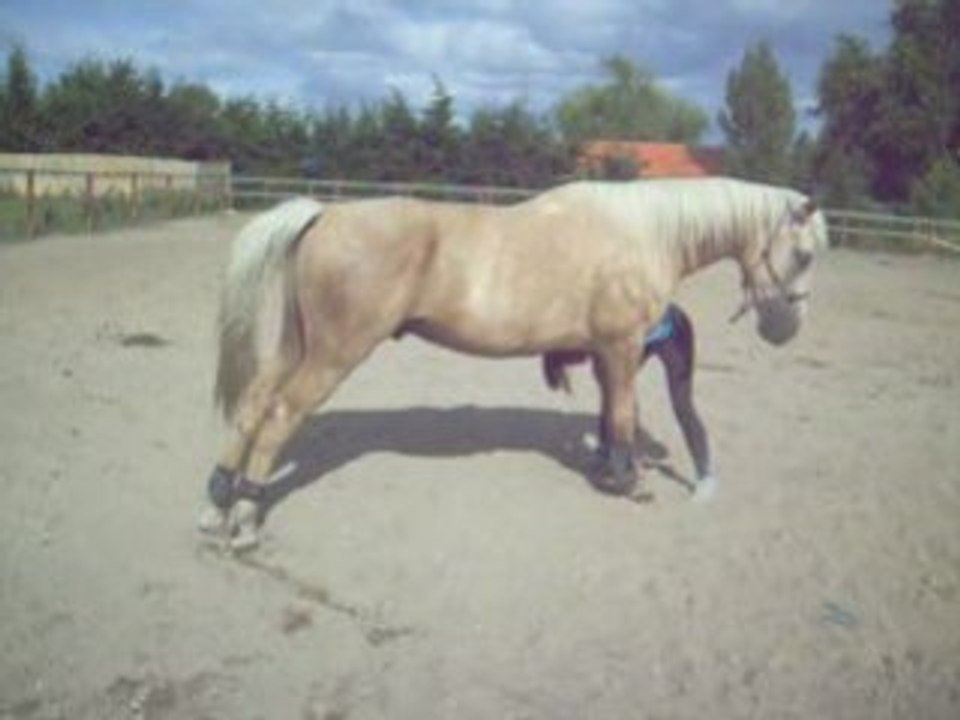 S7300385