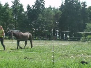 Qu'enzo éthologie 8