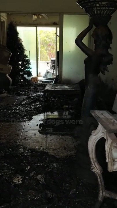 30+ Dogs Found Covered in Feces Inside Florida...