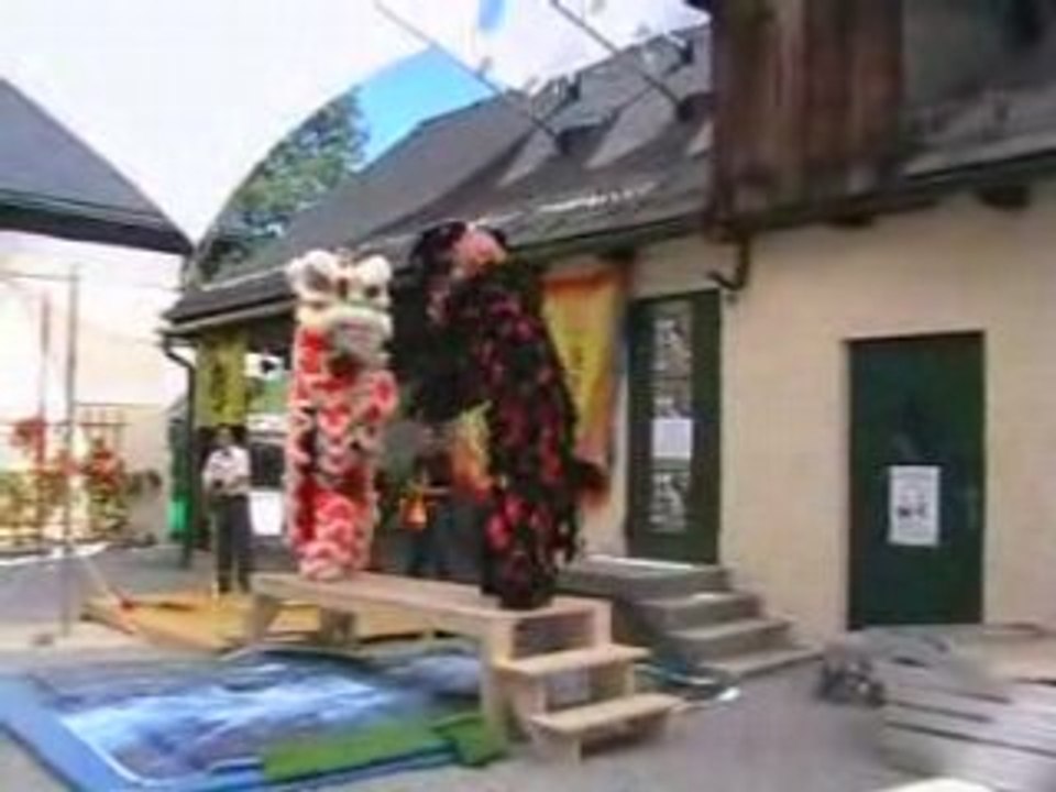 Chinese-Lion