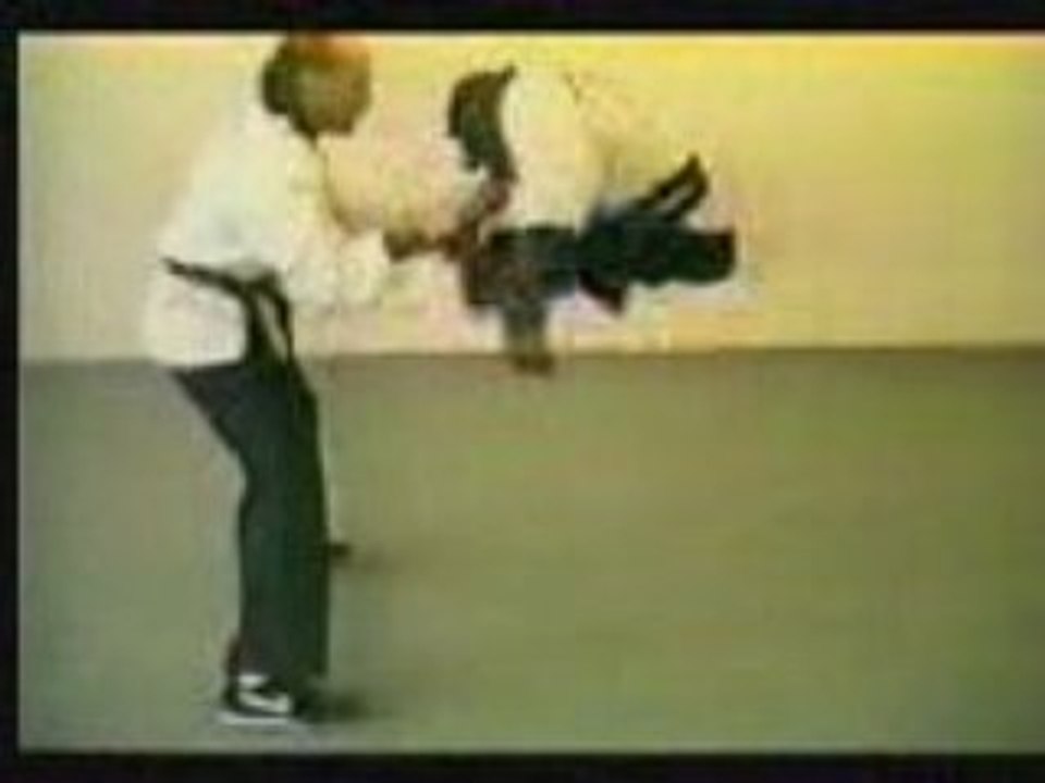 Singe karateka