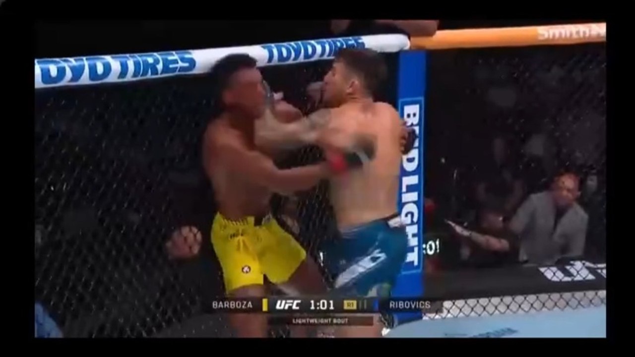 Ribovics DESTROYS Barboza with BRUTAL TKO | UFC 330 Highlights