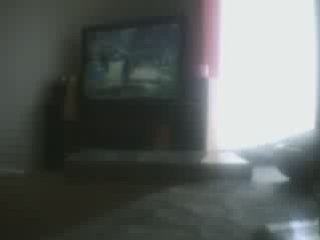 bugs zelda twilight princess