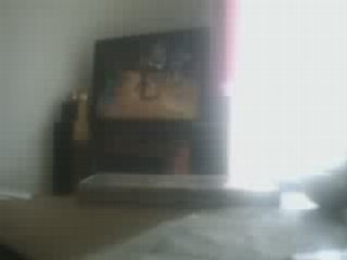 zelda twilight princess test