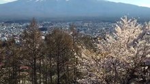 IMG_0961