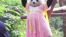 Huahua's Dance Universe｜花花的舞蹈宇宙（13）