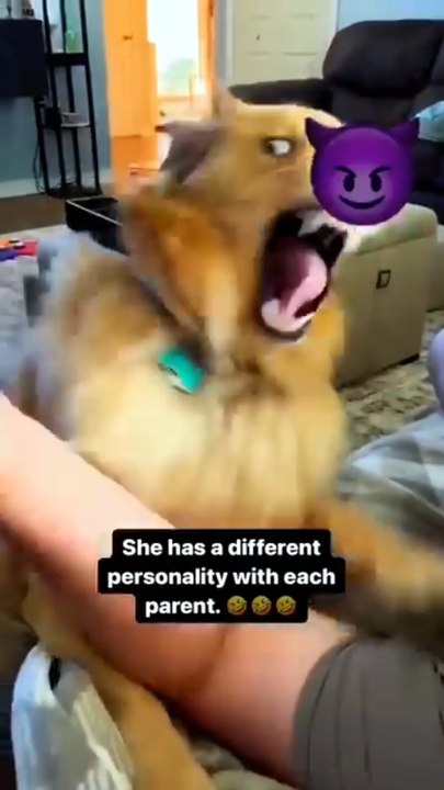 Daily Dose of Cute