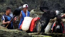 MAROC  Ils sont ESCLAVES du trafic de sable CLANDESTIN – Reportage Complet – AT