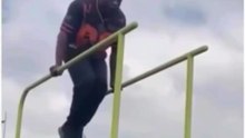 Les vidéos les plus drôles d'Internet 🤣