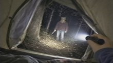 27 rencontres surprenantes en forêt captées en vidéo