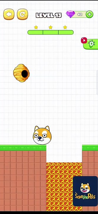 Save The Pets Level 13