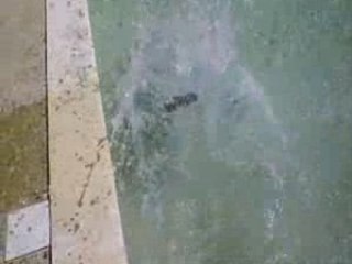 Régis coup de pelle