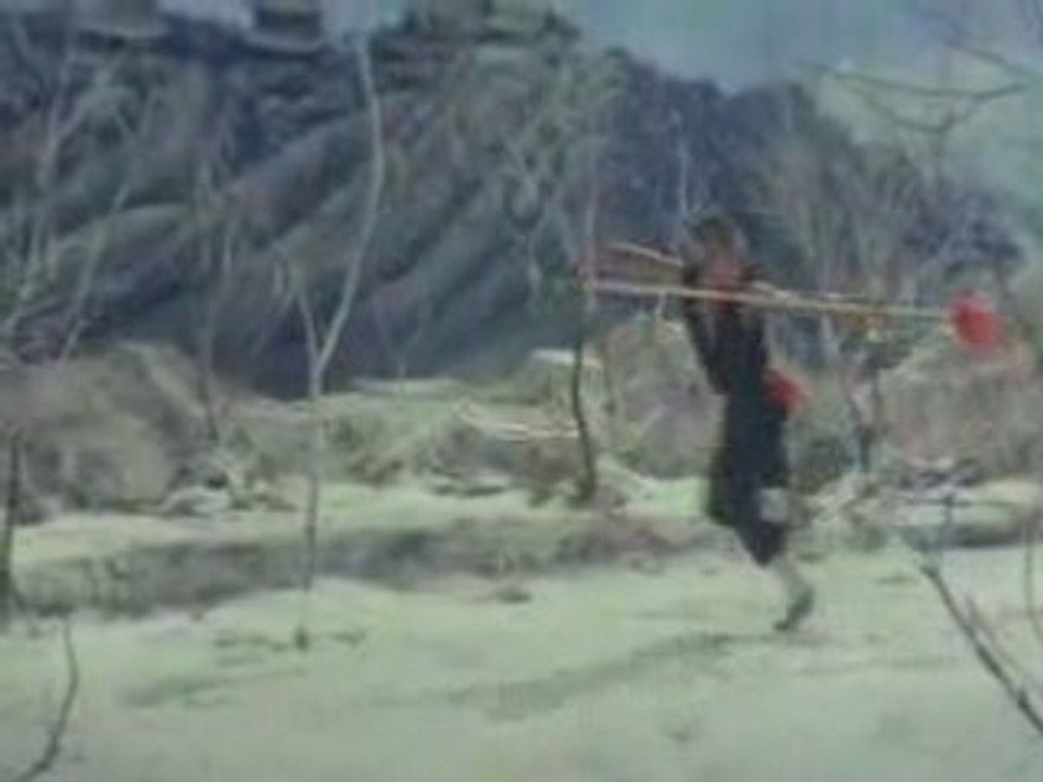Jet Li - Shaolin Temple