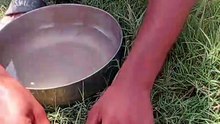 Village fish