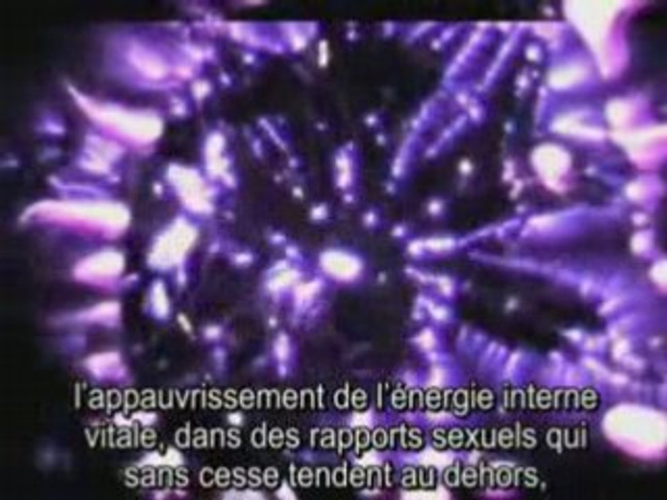 LE CARREFOUR