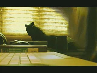 Dieudonné & UncleFOFI: Interview Nouveau Pestac & Code Noir