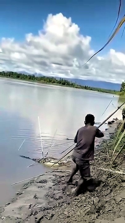 Archery Crocodile.