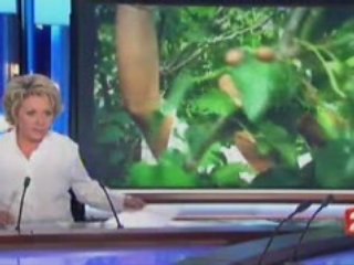 France 2 infos 20h 150708 jatropha
