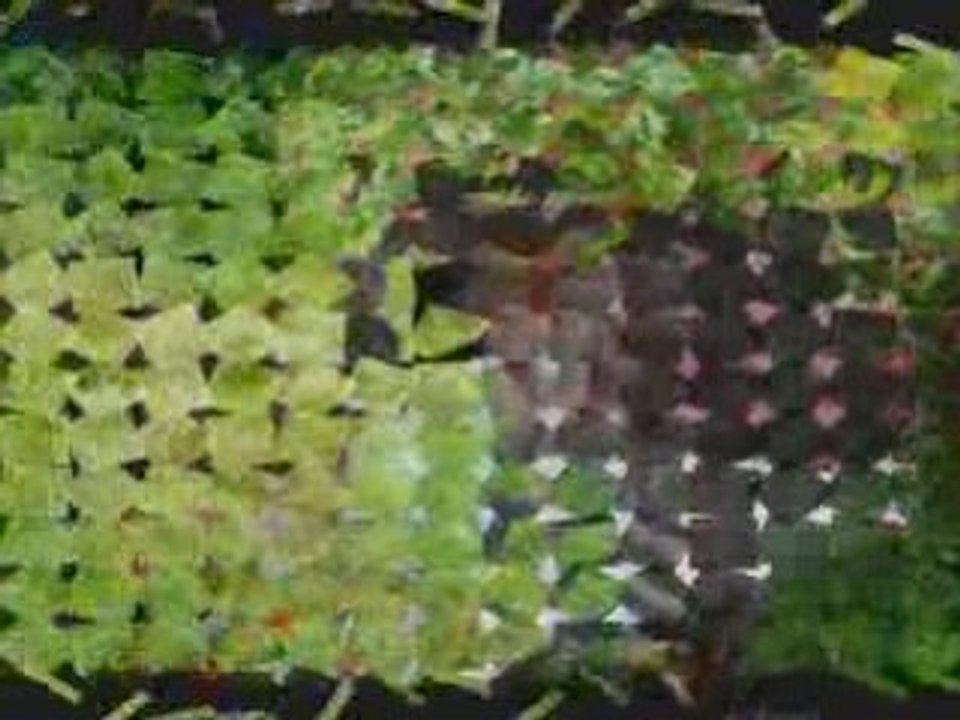 Le montage de marraine