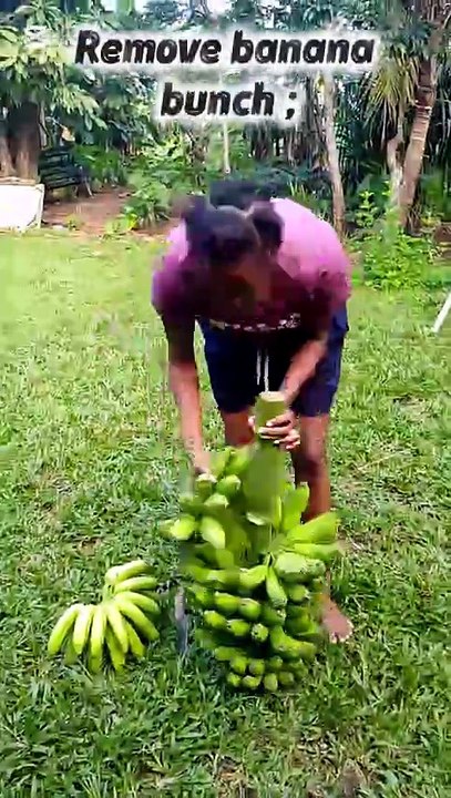 Traditional food preparation