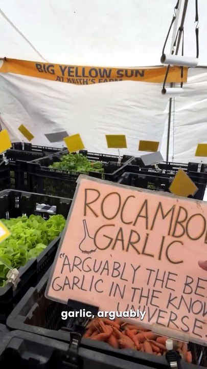 This Rare Garlic Has Big Flavor AND Health Benefits | Rocambole + Allicin