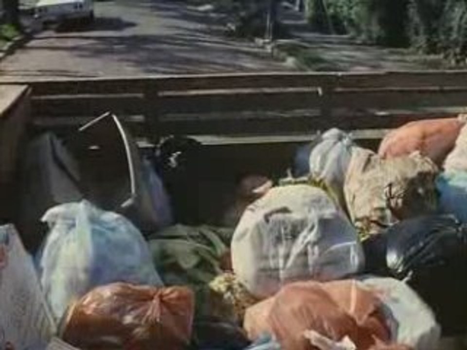 Ile aux fleurs de Jorge Furtado 1989