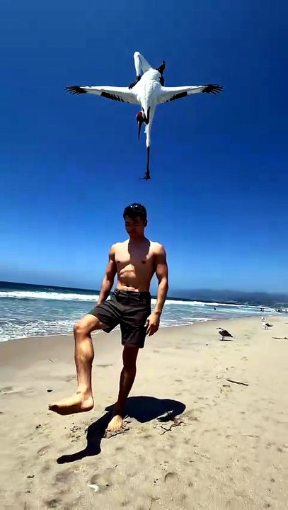 What a talent