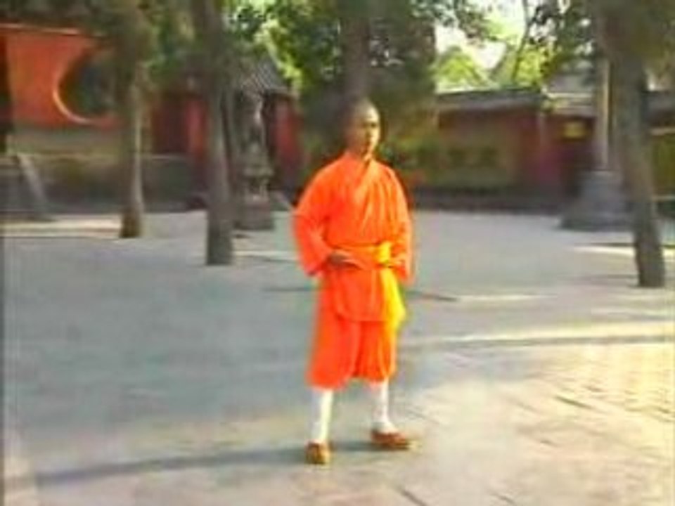 Shaolin Kung Fu - Da Hong Quan - Performed by Shi De Yang