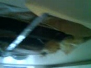 MOV00063