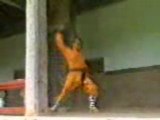 Shaolin Kung Fu Mizong Quan - Shi de Yang