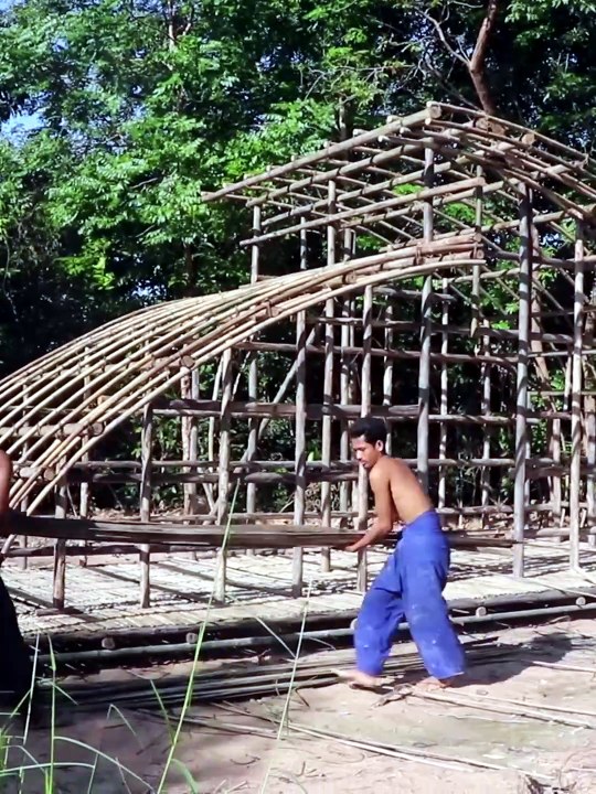 Build Big House in Forest
