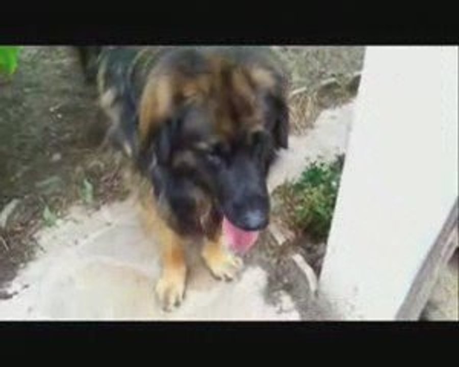 Maxou