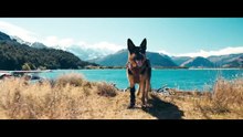 Heart Of The Beast | Trailer 2