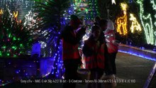 Low Light - Sony's A7iv and Tamron's 18-300 F/3.5-6.3 Di III-A VC VXD